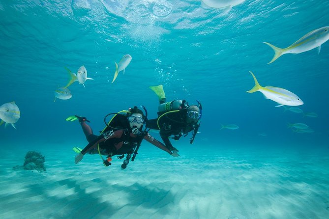 Beginners Scuba Diving Experience in Gran Canaria - Overview and Details