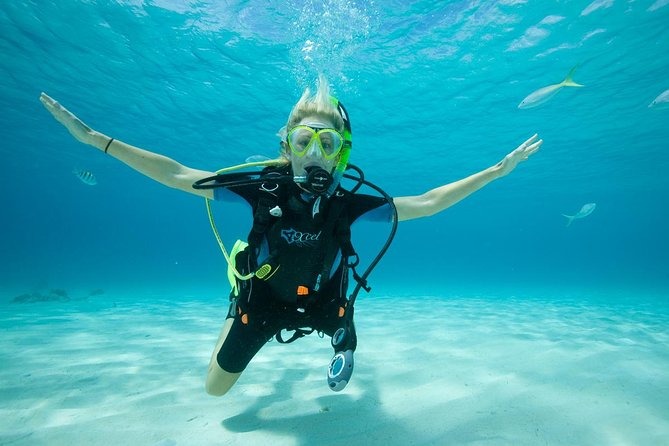 Beginners Scuba Diving Experience in Gran Canaria - Positive Experiences