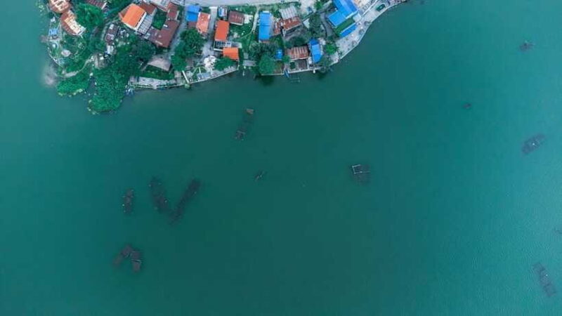 Begnas Lake Freshwater Fish Hunt & Culinary Experience - Who Will Love This Tour?