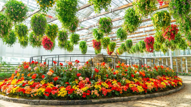 Begonia Bird Garden+Mysterious Zoo+Aqua Cafe Round-trip shuttle - Three Gapyeong stops, three different moods