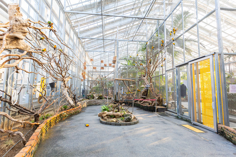 Begonia Bird Garden+Mysterious Zoo+Aqua Cafe Round-trip shuttle - Lunch, then a slower café pause