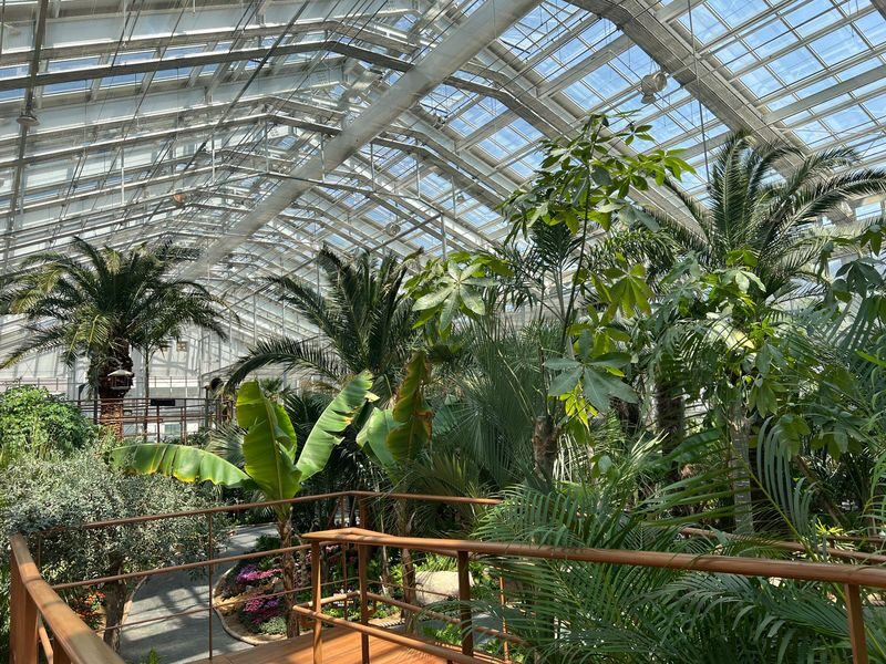 Begonia Bird Garden+Mysterious Zoo+Aqua Cafe Round-trip shuttle - Capybaras and close animal encounters