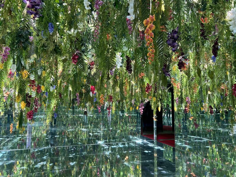 Begonia Bird Garden+Mysterious Zoo+Aqua Cafe Round-trip shuttle - The shuttle versus a private charter