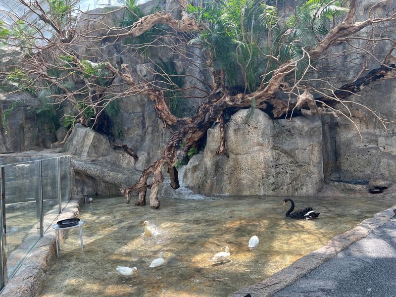 Begonia Bird Garden+Mysterious Zoo+Aqua Cafe Round-trip shuttle - A long day, with a few rules worth knowing