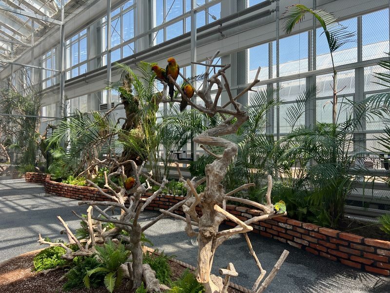 Begonia Bird Garden+Mysterious Zoo+Aqua Cafe Round-trip shuttle - Who should book this day trip?