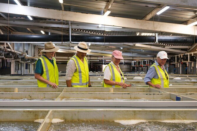 Behind-The-Scenes Ocean Harvest Tour - An In-Depth Look at the Behind-The-Scenes Ocean Harvest Tour