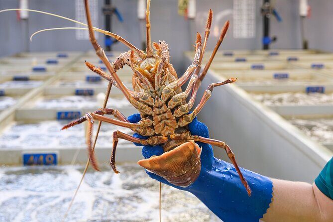 Behind-The-Scenes Ocean Harvest Tour - Who Will Love This Tour?