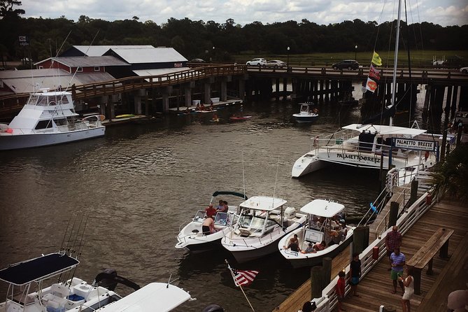 Behind the Scenes of Shem Creek Shrimp Walking Tour - Reviews and Recommendations