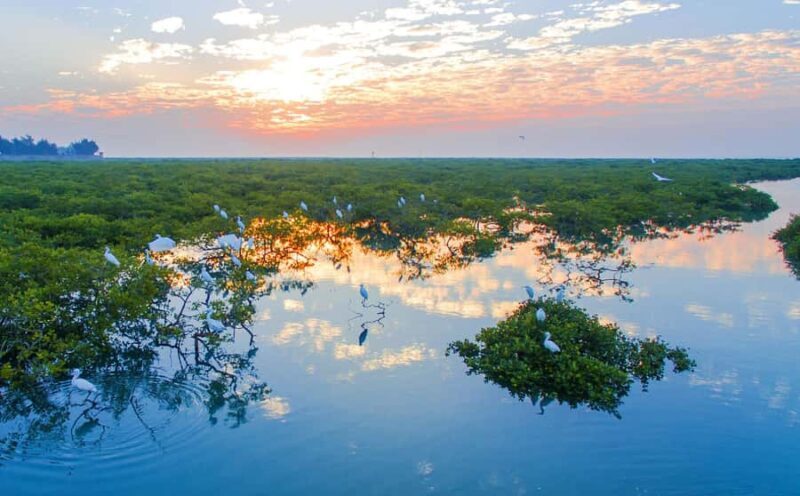 Beihai: Silver Beach, Mangrove Forest & Old Street Tour - FAQs