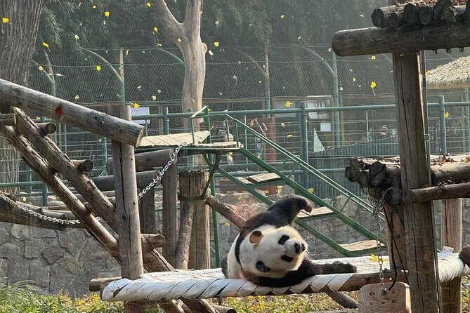 Beijing 3 Day Private Tour All Inclusive and 1 Peking Duck Meal - Who Would Love This Tour?