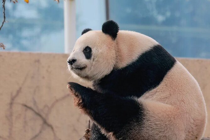 Beijing 3 Day Private Tour All Inclusive and 1 Peking Duck Meal - FAQ