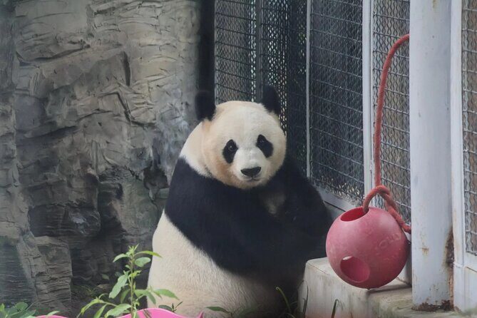 Beijing 3 Day Private Tour All Inclusive and 1 Peking Duck Meal - Final Thoughts