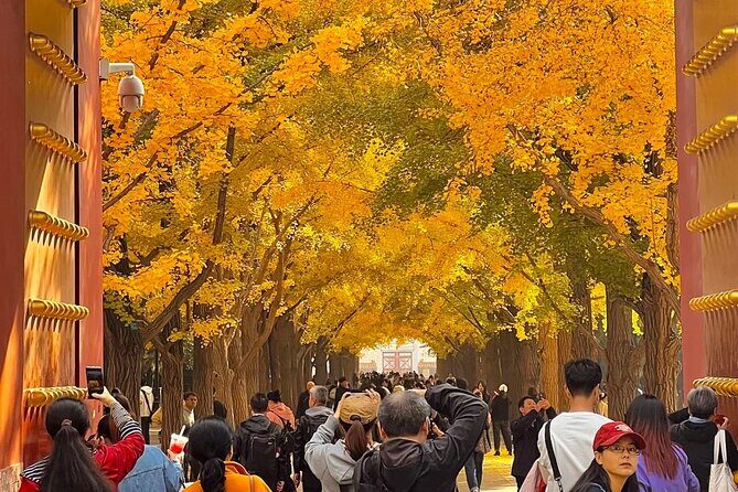 Beijing 3 Day Private Tour All Inclusive and 1 Peking Duck Meal - Practical Details and Value