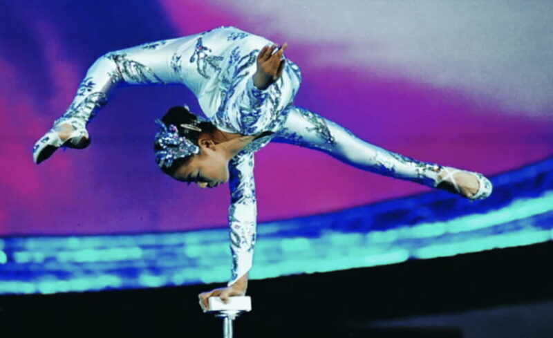 Beijing: Acrobatic Show, Pearl Market, & Peking Duck Dinner - The Sum Up: Is It Worth It?