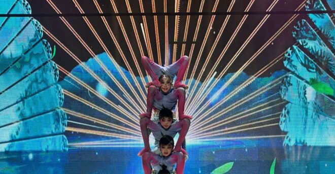 Beijing: Acrobatic Show Ticket With Transfer & Options - Includes: Dinner, Show Ticket, Transfer, Tips