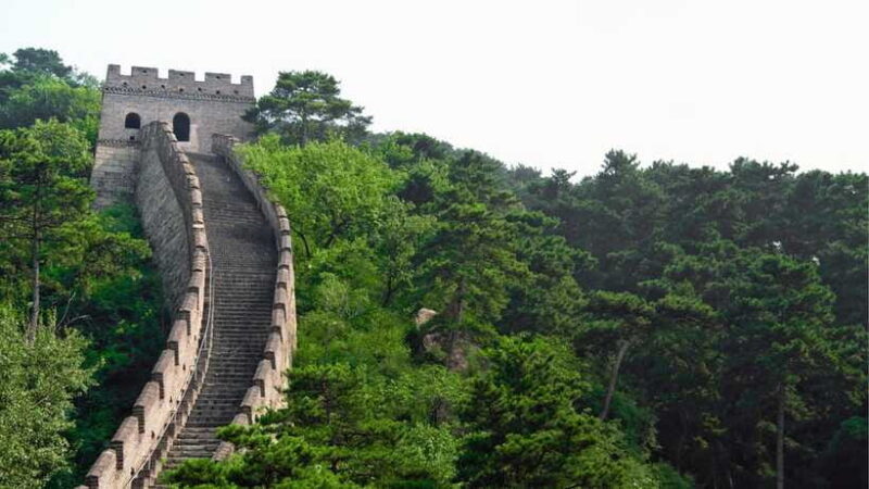 Beijing: Badaling Great Wall Tour with Guide & Transport - Why Choose This Tour?