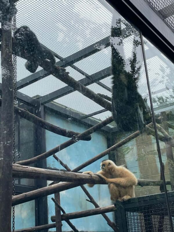 Beijing: Beijing Zoo Entry Ticket - Frequently Asked Questions