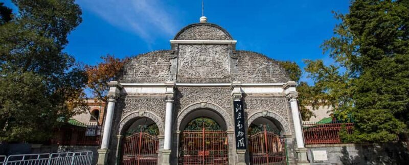 Beijing: Beijing Zoo Official Entry Ticket with Panda House - Authentic Reviews and Hidden Insights