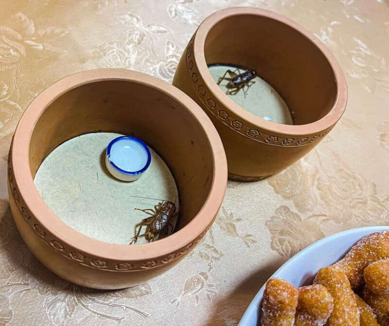 Beijing: Best Hutongs Cultural Tour for the Cricket Fights - Good To Know