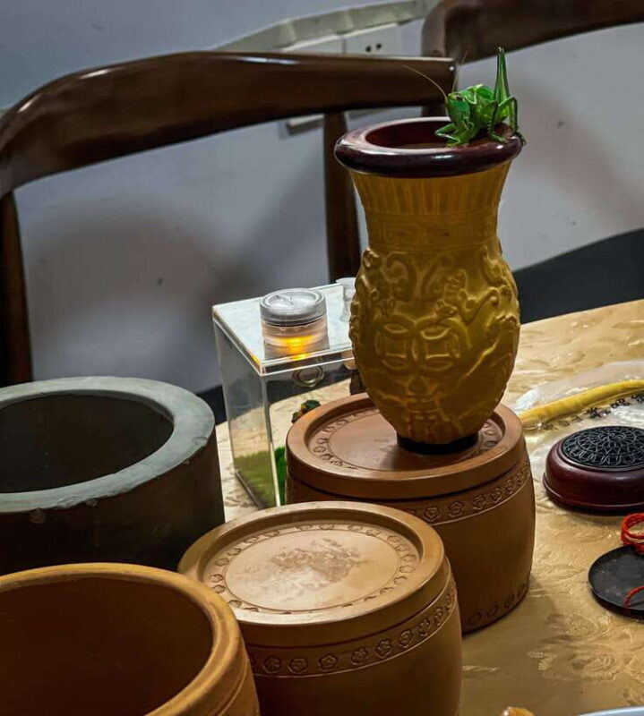 Beijing: Best Hutongs Cultural Tour for the Cricket Fights - The Sum Up