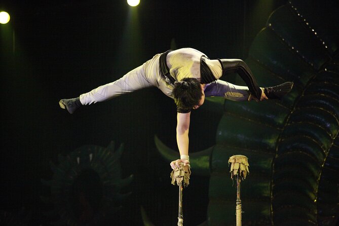 Beijing Chaoyang Acrobat Show VIP Seat And Quanjude Peking Duck Dinner - Cancellation Policy