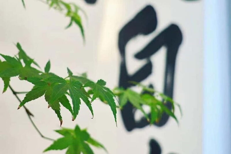 Beijing: Chinese Painting and Calligraphy Workshop - The Experience from a Traveler’s Perspective