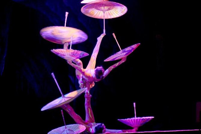 Beijing Evening Acrobatic Show With Hotel Transfer - Experience Highlights