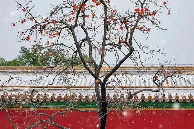 Beijing Forbidden City and Temple Heaven Private Guide Tour - Exploring the Itinerary in Detail