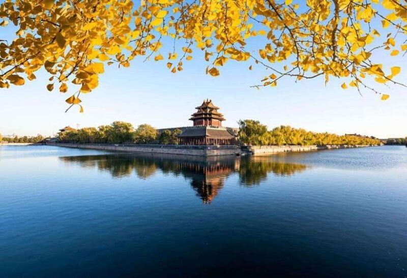 Beijing: Forbidden City and Tiananmen Square Tour (Optional) - What the Reviews Say