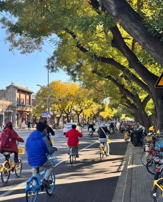 Beijing: Forbidden City Bike Tour with Jingshan Park Entry - Who Will Love This Tour?