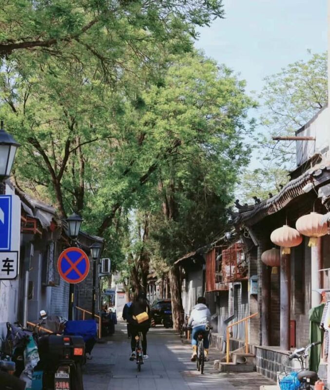 Beijing: Forbidden City Bike Tour with Jingshan Park Entry - Who Will Enjoy This Tour?