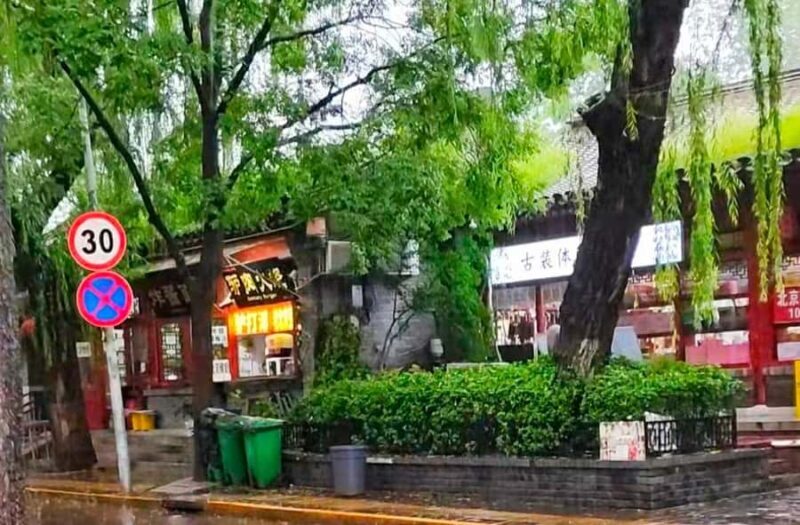 Beijing: Forbidden City, Hutongs, and Dumpling Tour - What Travelers Say