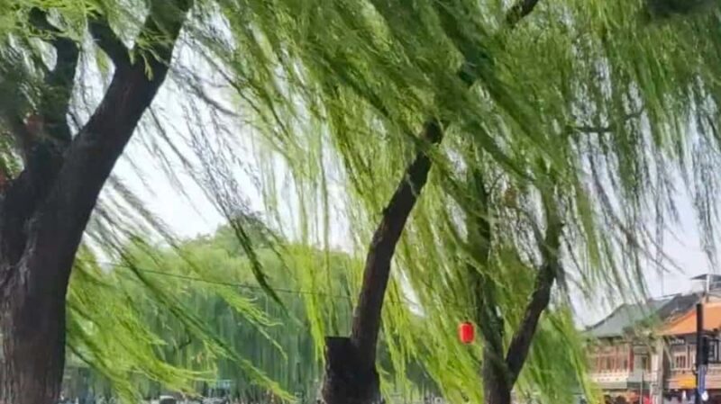 Beijing: Forbidden City, Hutongs, and Dumpling Tour - The Sum Up