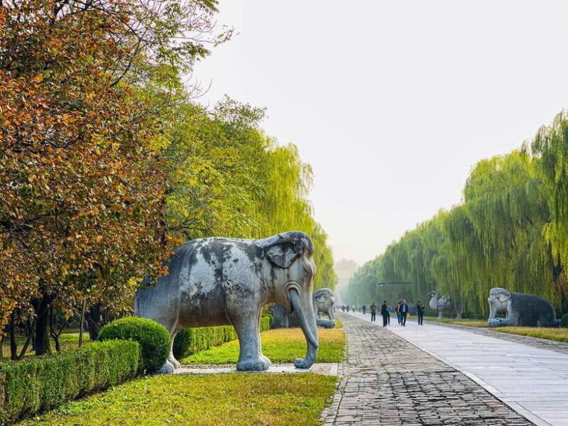 Beijing: Great Wall and Ming Tomb All-inclusive Private Tour - The Choice Between Tombs: Changling or Dingling