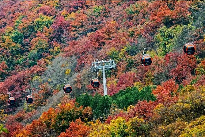 Beijing Great Wall Private Day Tour From Shanghai by Bullet Train - Price and Booking