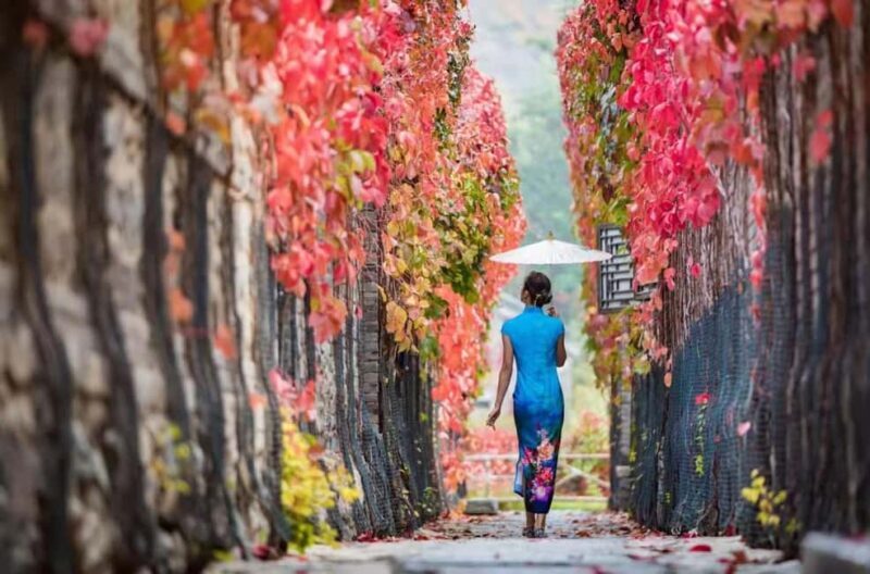 Beijing: Gubei Water Town & Simatai Great Wall Private Tour - Who Is This Tour Best For?