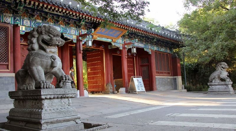 Beijing Historical Sites and Modern Architecture Private Car Tour - The Old Summer Palace: beauty, ruins, and difficult history