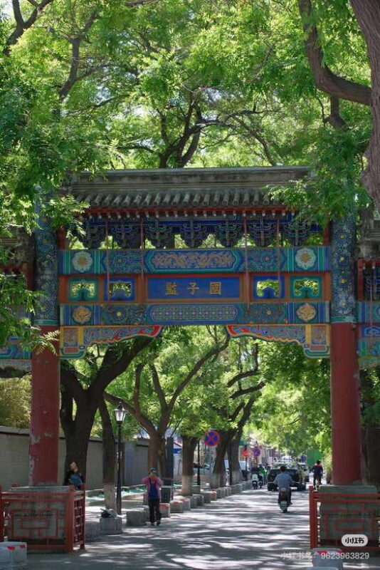 Beijing: Hutong Culture and Tea Tasting Private Tour - Real-Life Experiences and Insights 