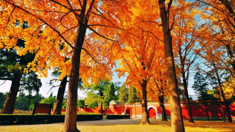 Beijing: JingShan park (palace museum garden) entry ticket - The Value of Visiting Jingshan Park