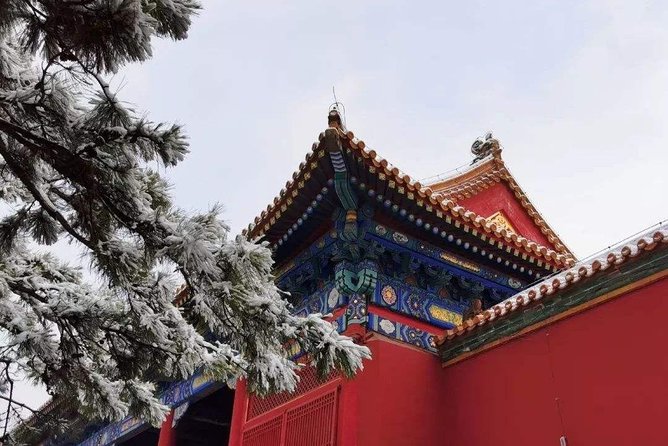 Beijing Layover Tour: Forbidden City, Temple of Heaven and Summer Palace - Forbidden City Visit
