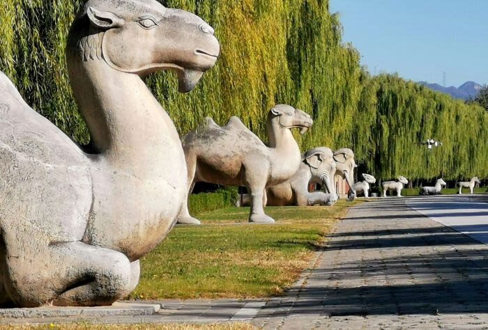 Beijing Ming Dynasty Tombs Half-Day Heritage Exploration - Why a guide helps at the Ming Tombs