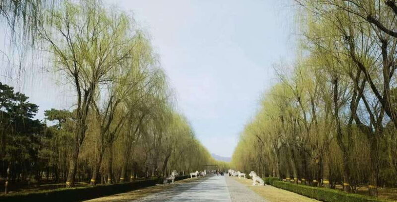 Beijing: Mutianyu Great Wall and Ming Tombs Private Tour - Who Is This Tour Best For?