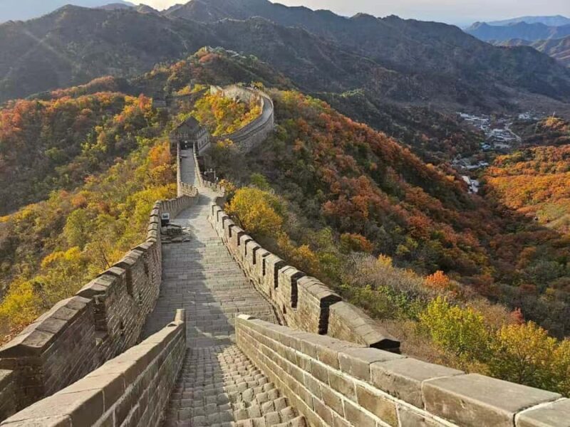 Beijing: Mutianyu Great Wall and Panda House Private Tour - Why This Tour Excels