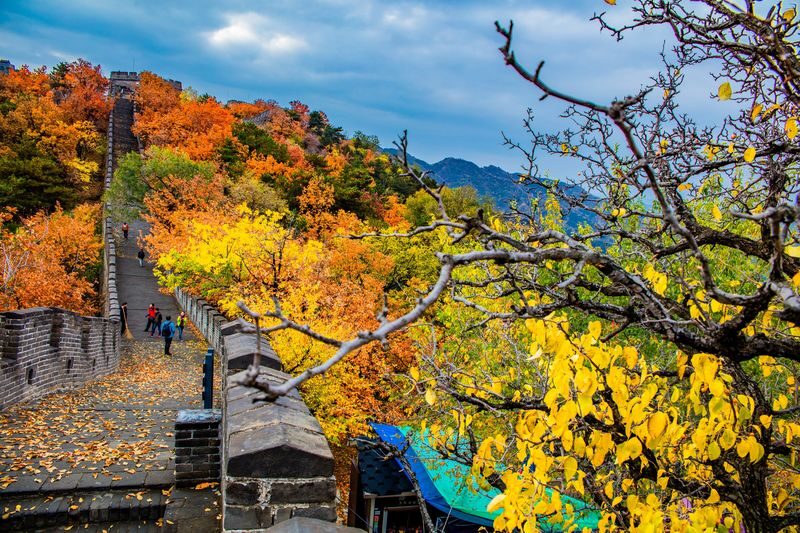 Beijing Mutianyu Great Wall Day Tour (Optional Cable Car/ropeway/Toboggan Package) - Lunch, package prices and what’s included