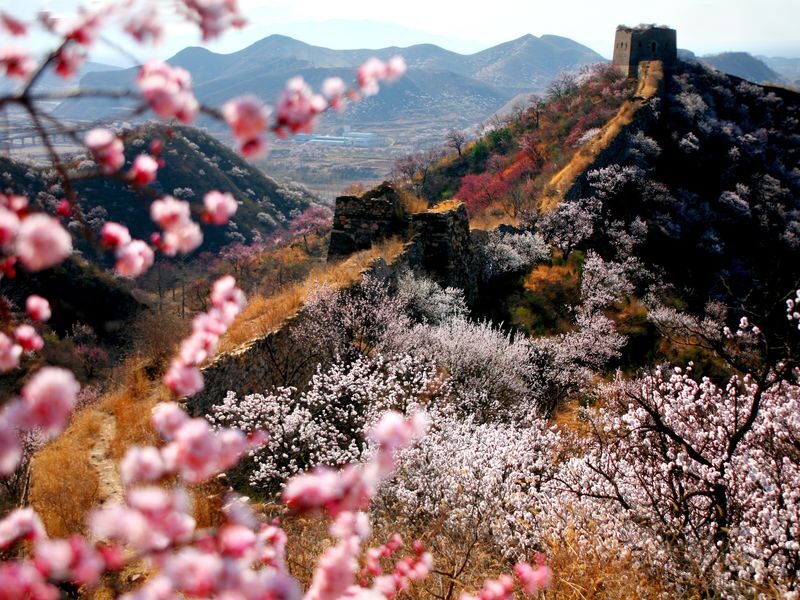 Beijing Mutianyu Great Wall Day Tour (Optional Cable Car/ropeway/Toboggan Package) - Who should book this Mutianyu day trip?