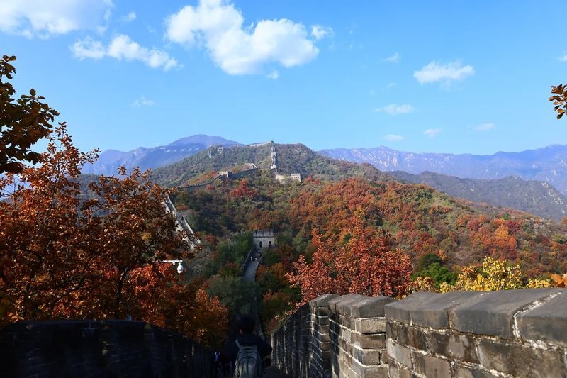 Beijing Mutianyu Great Wall & Forbidden City Day Tour - Who should book this Beijing day tour?