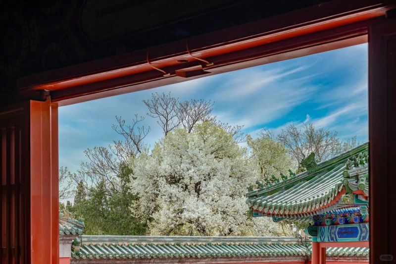 Beijing Mutianyu Great Wall & Temple of Heaven Day Tour - Is $48.25 good value?