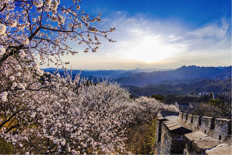 Beijing Mutianyu Great Wall & Temple of Heaven Day Tour - Booking and cancellation basics