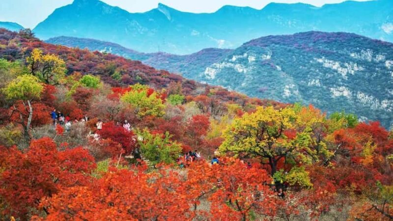 Beijing: Mutianyu Great Wall VIP Private Tour with Hot Pot - Visiting Mutianyu: A Peaceful, Breathtaking Section