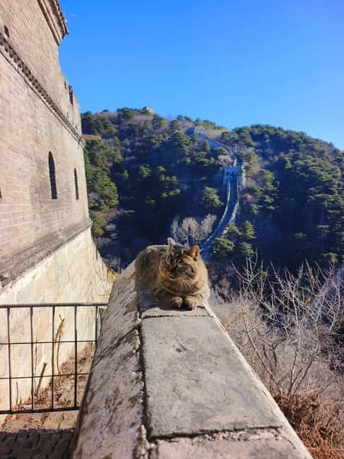 Beijing: Mutianyu Great Wall+Forbidden City Tour with Option - Practical Tips for Travelers